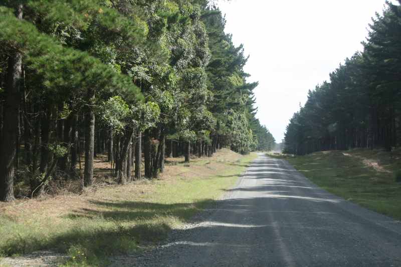 Nieuw-Zeeland 2011 - 0389